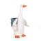GDFStudio Mohar Outdoor Decorative Goose Planter, White and Blue